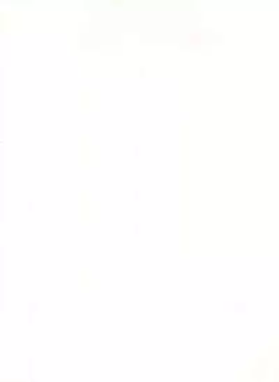 Wanpaku Anime Vol. 4 Dai Bakuhatsu