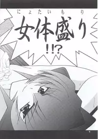 (C63) [GOLD RUSH (Suzuki Address)] Osechi Ryouri (Muv-Luv)