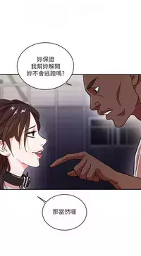 母豬養成計畫【中文】