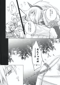 (C73) [Princess Heart (Amami Yukino)] Karyuudo Hakusho (Monster Hunter)
