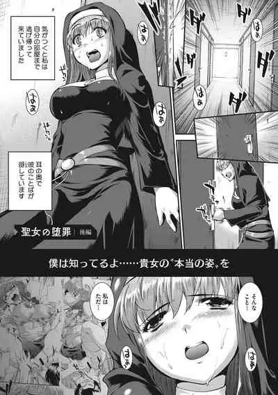 [John Sitch-Oh] Hiwaijitate no Fruits [Digital]