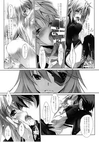 (COMIC1☆5) [RYU-SEKI-DO (Nagare Hyo-go)] LS Lovers Striker II (IS <Infinite Stratos>)