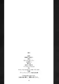 (Lyrical Magical 5) [Piñata Party (Nagami Yuu)] ARMOR PURGE!! (Mahou Shoujo Lyrical Nanoha)