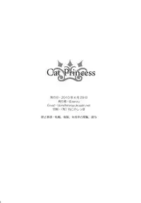 (COMIC1☆4) [Bakuhatsu BRS. (B.Tarou)] Cat Princess (Final Fantasy Gaiden) [English] [YQII]