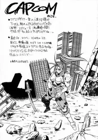 (C49) [BLACK FLY (Various)] KILLER QUEEN CPS (CAPCOM, Street Fighter, Vampire Savior / Darkstalkers)