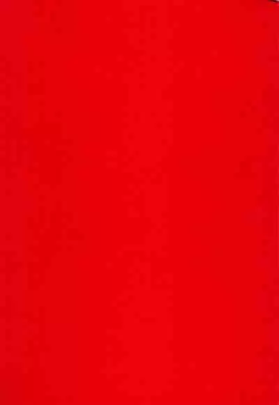 Gohan-san wa Boku to Ecchi na Koto wo Shita Tsugi no Hi wa Neoki ga Yokunai