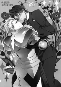 (SUPERKansai23) [Crazy9 (Ichitaka)] Gainen Reisou wa Kiniro no Yume o Miru (Fate/Grand Order)