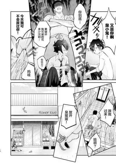 Furyou Shounen to Gakkyuu Iinchou no Himitsu