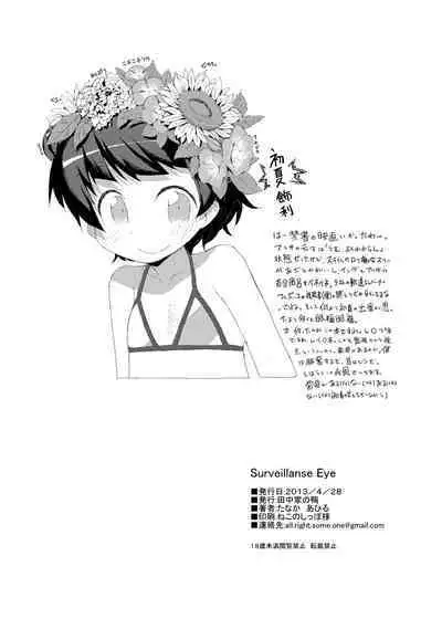 Surveillance Eye