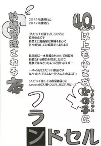 (Reitaisai 15) [Angelic Feather (Land Sale)] Zeenbu Loli Bitch Flan-chan Soushuuhen 01 (Touhou Project)