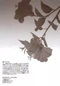 (C74) [CARNELIAN] MIDNIGHT CAR RADIO (Macross Frontier)