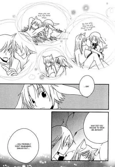 Mimi Paradise Vol. 1