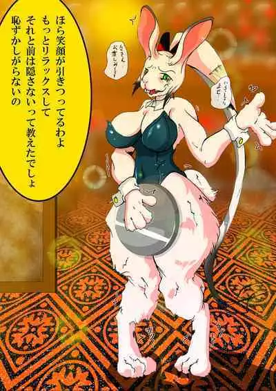 KaninogiSeira no Daigekitou