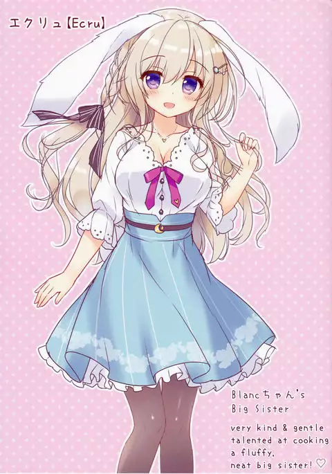 Fuwafuwa Onee-san wa Suki desu ka + Melonbooks Gentei Leaflet