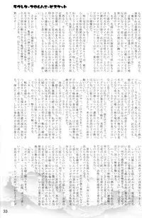 (Shota Scratch 12) [EGO DANCE, fanta/stick] Hatsujou Sweet (Summon Night 2)