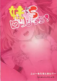 (Reitaisai 14) [Nanmin Festival (Gibuchoko)] Imouto-sama wa Do-S Loli Bitch! (Touhou Project)