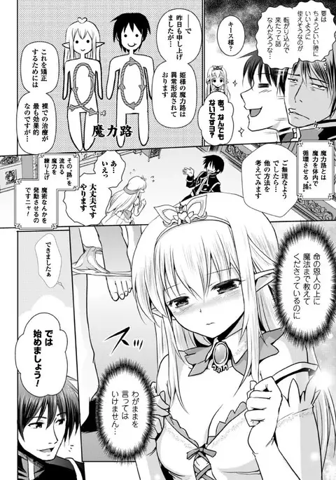 Erufu no kuni no kyūtei madō shi ni nare ta no de hime sama ni seiteki na itazura o shi te mi ta