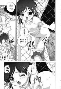 [Anthology] Pure Petit Vol. 23