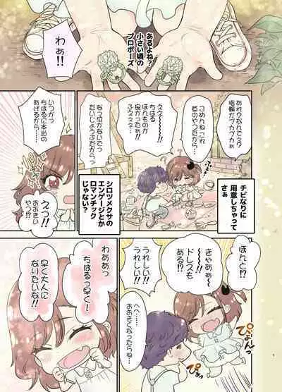 Tsuyokawa Imouto x Kyousei Love Koubi 3