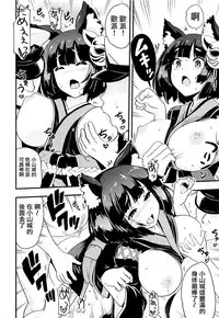 (C93) [D-heaven (Amanogami Dai)] AzuColle (Azur Lane) [Chinese] [有毒気漢化組]