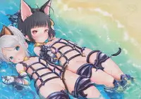 (C89) [Team Kihara (Mojarin)] Ima made Egaita Erin-chan no Maisuu o Oboete Iru no ka? (TERA The Exiled Realm of Arborea)