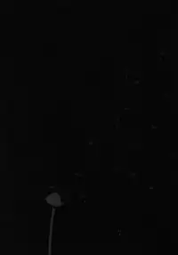 [Machida Hiraku] Yomi no Machi