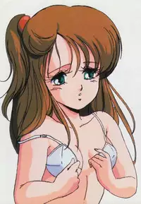 Gal's Anime Adult Video Catalog PART1