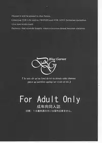 (C80) [BLUE GARNET (Serizawa Katsumi)] Mugen Houyou | Fantasy Embrace (Suite Precure♪) [English] =Shizuku + Super Shanko=