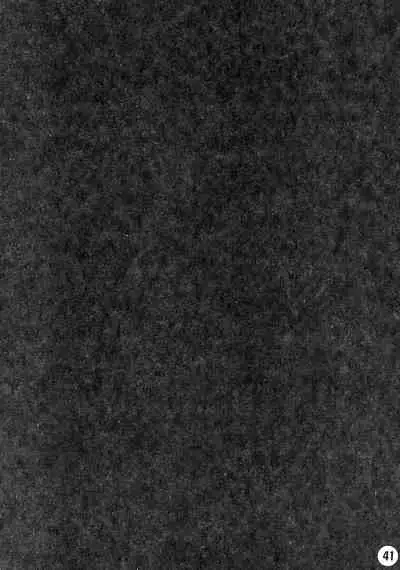 [boss anniversary (810)] Ruru Haramix! Joukan (Code Geass: Lelouch of the Rebellion)