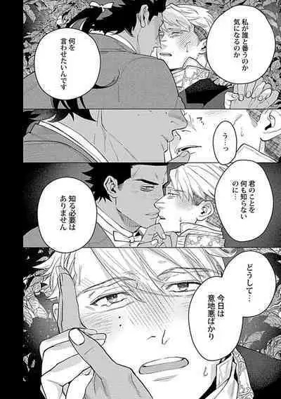 Hoshikuzu no Debutante