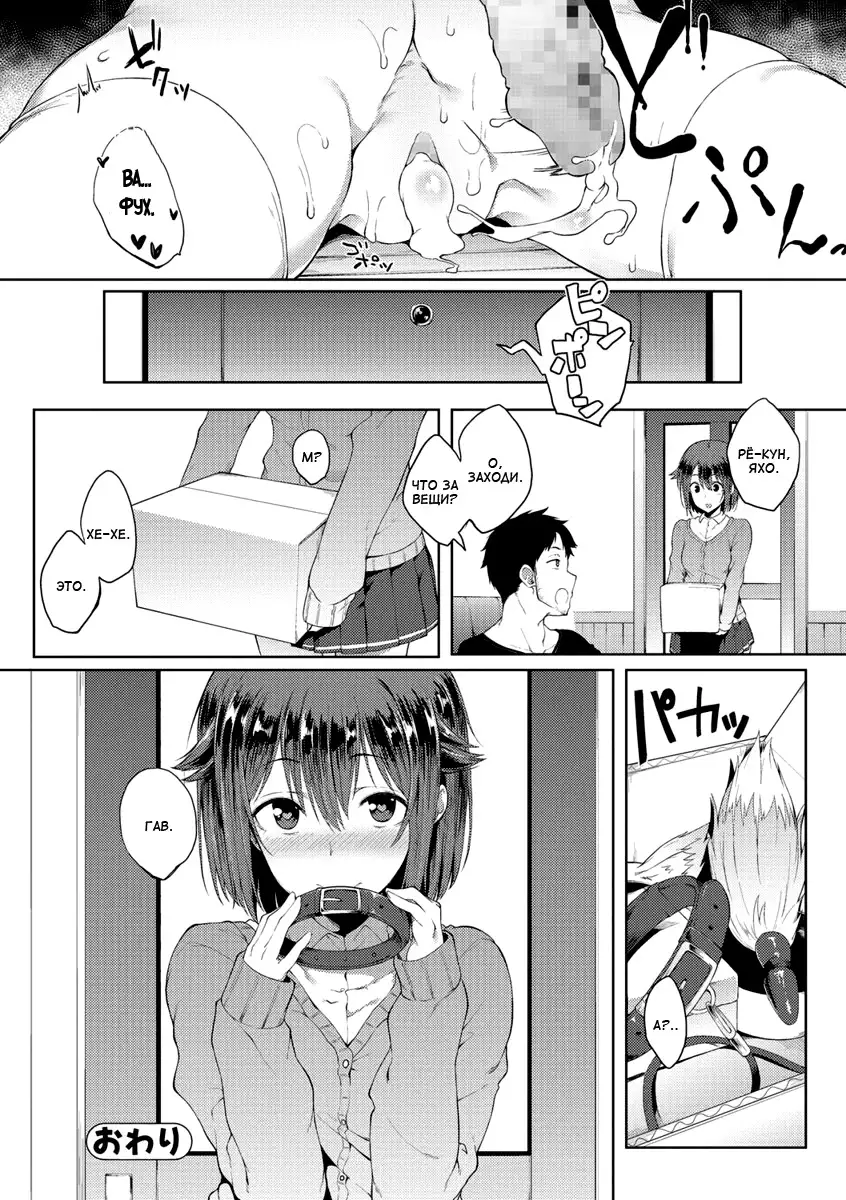 Wonder Collar Чудо-ошейник