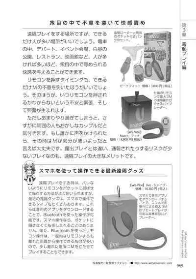 いますぐデキる 図説SMプレイマニュアル