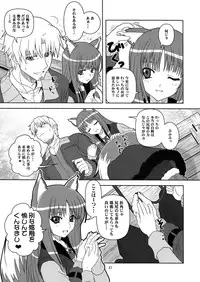 [Circle Credit (Benjamin, Akikan, Muichimon, NAL)] Ookami to Mimi to Shippo (Spice and Wolf)